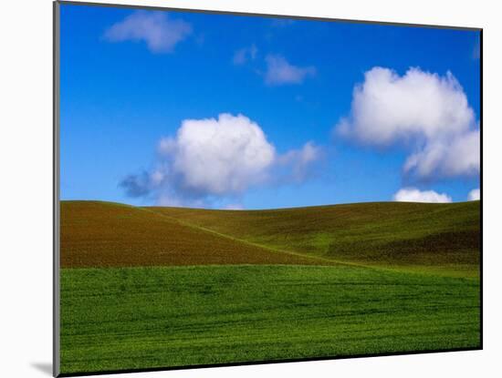 Spring Wheat Field and Clouds-Terry Eggers-Mounted Photographic Print