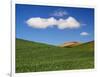 Spring Wheat Field and Clouds-Terry Eggers-Framed Photographic Print