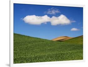 Spring Wheat Field and Clouds-Terry Eggers-Framed Photographic Print