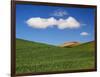 Spring Wheat Field and Clouds-Terry Eggers-Framed Photographic Print