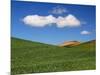 Spring Wheat Field and Clouds-Terry Eggers-Mounted Photographic Print