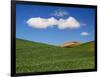 Spring Wheat Field and Clouds-Terry Eggers-Framed Photographic Print