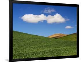 Spring Wheat Field and Clouds-Terry Eggers-Framed Photographic Print