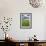 Spring Wheat Field, Walla Walla, Washington-Paul Souders-Framed Premium Photographic Print displayed on a wall