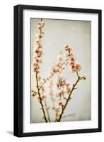 Spring Whispers 2-Jessica Rogers-Framed Giclee Print