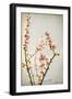 Spring Whispers 2-Jessica Rogers-Framed Giclee Print