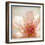 Spring Whispers 3-Jessica Rogers-Framed Giclee Print