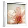 Spring Whispers 3-Jessica Rogers-Framed Giclee Print