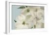 Spring Whites-Julie Greenwood-Framed Art Print