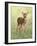 Spring Whitetail Fawn-Crista Forest-Framed Giclee Print