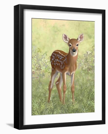 Spring Whitetail Fawn-Crista Forest-Framed Giclee Print