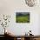 Spring Wild Flowers with Hills in the Background at Apollon, on Naxos, Cyclades Islands, Greece-David Beatty-Photographic Print displayed on a wall