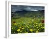 Spring Wild Flowers with Hills in the Background at Apollon, on Naxos, Cyclades Islands, Greece-David Beatty-Framed Photographic Print