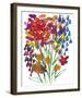 Spring Wild Flowers-Kim Johnson-Framed Giclee Print