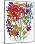 Spring Wild Flowers-Kim Johnson-Mounted Giclee Print