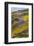 Spring Wildflower Plains - Carrizo Southern California-Vincent James-Framed Photographic Print