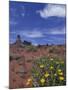 Spring Wildflowers Bloom, Canyonlands National Park, Utah, USA-Paul Souders-Mounted Photographic Print