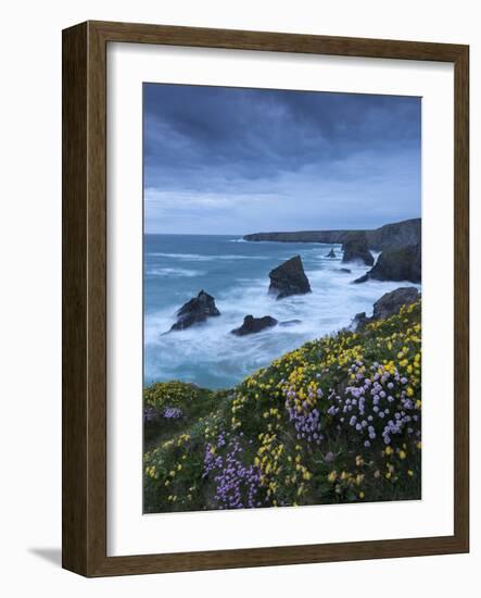 Spring Wildflowers Growing on the Clifftops at Bedruthan Steps, Cornwall, England. May-Adam Burton-Framed Photographic Print