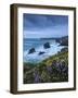 Spring Wildflowers Growing on the Clifftops at Bedruthan Steps, Cornwall, England. May-Adam Burton-Framed Photographic Print