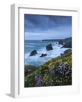 Spring Wildflowers Growing on the Clifftops at Bedruthan Steps, Cornwall, England. May-Adam Burton-Framed Photographic Print