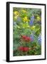 Spring Wildflowers in the Columbia Gorge Near Rowena, Oregon, USA-Chuck Haney-Framed Photographic Print