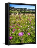 Spring Wildflowers Of Napa Valley-George Oze-Framed Stretched Canvas