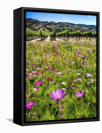 Spring Wildflowers Of Napa Valley-George Oze-Framed Stretched Canvas