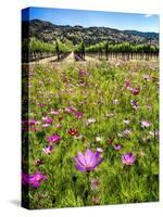 Spring Wildflowers Of Napa Valley-George Oze-Stretched Canvas