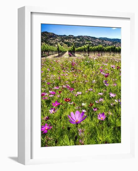 Spring Wildflowers Of Napa Valley-George Oze-Framed Photographic Print