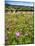 Spring Wildflowers Of Napa Valley-George Oze-Mounted Photographic Print