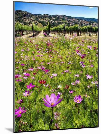 Spring Wildflowers Of Napa Valley-George Oze-Mounted Photographic Print