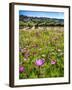 Spring Wildflowers Of Napa Valley-George Oze-Framed Photographic Print