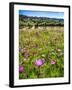 Spring Wildflowers Of Napa Valley-George Oze-Framed Photographic Print