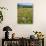 Spring Wildflowers Of Napa Valley-George Oze-Photographic Print displayed on a wall