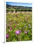 Spring Wildflowers Of Napa Valley-George Oze-Framed Photographic Print