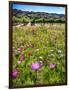 Spring Wildflowers Of Napa Valley-George Oze-Framed Photographic Print