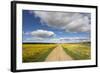 Spring Wildflowers, Papkuilsfontein Farm, Nieuwoudtville, Northern Cape, South Africa, Africa-Ann & Steve Toon-Framed Photographic Print