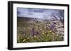 Spring Wildflowers-null-Framed Photographic Print