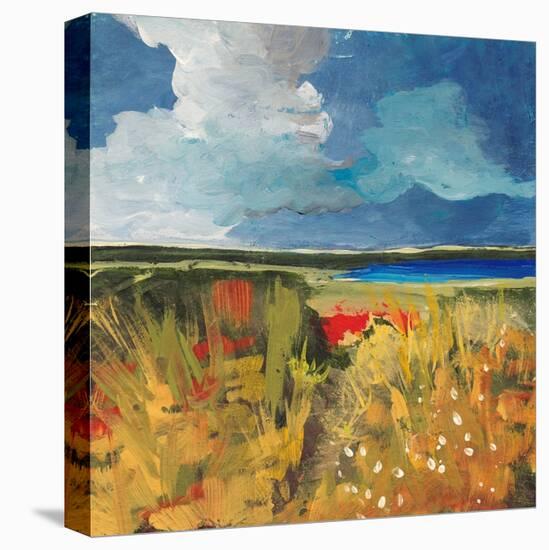 Spring Wildflowers-Jan Weiss-Stretched Canvas