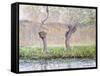 Spring, Willows, 1885-Claude Monet-Framed Stretched Canvas