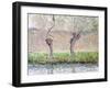 Spring, Willows, 1885-Claude Monet-Framed Giclee Print