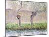 Spring, Willows, 1885-Claude Monet-Mounted Giclee Print