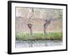 Spring, Willows, 1885-Claude Monet-Framed Giclee Print