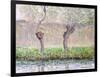 Spring, Willows, 1885-Claude Monet-Framed Giclee Print