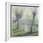 Spring Willows on the Riverbank-Rodolphe Wytsman-Framed Giclee Print