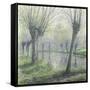 Spring Willows on the Riverbank-Rodolphe Wytsman-Framed Stretched Canvas