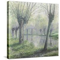 Spring Willows on the Riverbank-Rodolphe Wytsman-Stretched Canvas