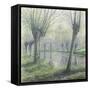 Spring Willows on the Riverbank-Rodolphe Wytsman-Framed Stretched Canvas