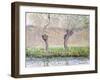 Spring, Willows (Printemps, saules). 1885-86-Claude Monet-Framed Giclee Print