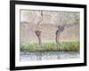 Spring, Willows (Printemps, saules). 1885-86-Claude Monet-Framed Giclee Print